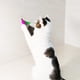 thumbnail image 4 of Juguetes de plumas para gatos TIENAILING, 8 repuestos, 4 of 6