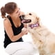 thumbnail image 4 of Collares para perros y gatos con pajaritas ajustables y desmontables, de caballero., 4 of 5