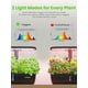 thumbnail image 5 of Sistema hidropónico inteligente Planter Litokam, 15 cápsulas, WiFi, 5 of 9