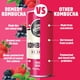 thumbnail image 3 of Kombucha Remedy Mixed Berry sin azúcar 250 ml, pack de 24, 3 of 7