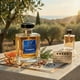 thumbnail image 5 of TERRES by LaScenty - Perfume Amaderado Cítrico Para Hombre - Intenso - 50 ml, 5 of 8