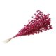 thumbnail image 5 of Falsa Baya Tallos Decoración Simulación Flor Plantas Guirnalda Fiesta Rosa Rojo, 5 of 5