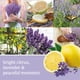 thumbnail image 4 of Ambientadores para coche Yankee Candle, tarro Ultimate Lemon Lavender, 28 ml (paquete de 12), 4 of 4