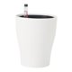 thumbnail image 3 of Solución Automática De Agua Para Macetas De Riego Automático Para Plantas Bonsai Redondas, 3 of 5