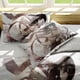 thumbnail image 4 of Attack- on G-iant Er-en Levi An-ime Soft 3D Printe-d Duvet- Cover B-edding Set with -Comfort-er Cover, 4 of 5