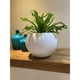 thumbnail image 1 of Macetero para Plantas 32 X 32, 1 of 1