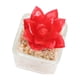 thumbnail image 2 of Cactus artificial 5*8cm, 2 of 2