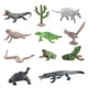 thumbnail image 5 of Juego De 12 Mini Figuras De Animales Salvajes Para Festivales, Suministros Para Fiestas, Estilo F, 5 of 5