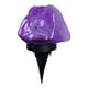 thumbnail image 1 of Luces De Tierra Con Energía Solar Iluminación LED Impermeable Para Exteriores Para Pasarela Yarda Violeta, 1 of 5