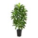 thumbnail image 1 of FSOHOI Árbol Artificial de Dracaena 1,80 m / Maceta Negra, Planta Alta de Interior, 1 of 9