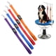 thumbnail image 1 of Uxcell Lazos de Aseo para Perros, Correa de Restricción Extensible de Nylon para Mesa (Púrpura, Naranja, Rojo, Azul, 4 Piezas), Destinado para Correa de Baño Fijo Corte de Pelo Lavado, 1 of 7