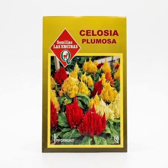 Semillas Flor Celosía Plumosa Las Encinas Coloridas
