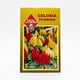 thumbnail image 1 of Semillas Flor Celosía Plumosa Las Encinas Coloridas, 1 of 2