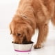 thumbnail image 4 of Cuenco de acero inoxidable para perros y gatos, antideslizante, con base de goma antiderrames., 4 of 5