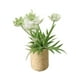 thumbnail image 4 of 1/12 Simulación De Adorno De Bonsái De Flores En Miniatura Para Decoración De Patio Blanco, 4 of 5