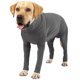 thumbnail image 1 of Traje de recuperación posquirúrgica para perros Due Felice gris talla S, 1 of 5
