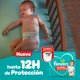 thumbnail image 4 of Pañales Pampers Pants XXG, 60 Un, 4 of 6