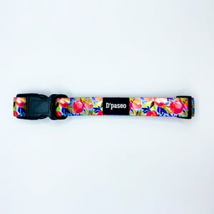 D'Paseo - Collar Para Perros Silvestre Talla S