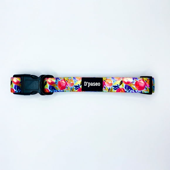 Collar para Perros Silvestre Talla M