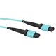 thumbnail image 1 of Cable de prueba Fluke Networks 1 m MPO/MPO (hembra/macho), 1 of 1