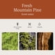 thumbnail image 4 of Ambientador para coche Drift The Original Wood Pine Scent, paquete de 3, 4 of 7