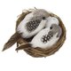 thumbnail image 2 of Pájaro Artificial Heno Nido Y Plumas Pájaros De Espuma Y Huevo De Aves Para La Decoración Del árbol Del Hogar, 2 of 5