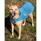 thumbnail image 4 of Abrigo Impermeable para Perro DOGHELIOS 'Lotus-Rusher', 4 of 6