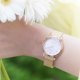 thumbnail image 5 of Reloj Citizen Mujer EM0818-82X CITIZEN L ECO-DRIVE, 5 of 6