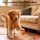 thumbnail image 4 of Pelota de juguete interactiva para perros JEISOTHB para perros de tamaño mediano y grande, 4 of 8