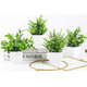 thumbnail image 3 of Plantas artificiales 4 uds maceta bonsai, 3 of 3
