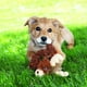 thumbnail image 2 of Juguete para Perro KONG Trekkers Cabra Pequeño/Mediano con Chifle, 2 of 3