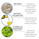thumbnail image 2 of Sérum de retinol Serious Skincare Vitamina A Force XR, 30 ml, 2 of 7