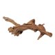 thumbnail image 1 of Madera para acuario emours 20‑25 cm forma variable, 1 of 8