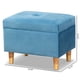 thumbnail image 3 of Otomana Baxton Studio Elias de terciopelo azul celeste, 3 of 9
