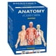 thumbnail image 1 of Tarjetas de estudio QuickStudy de Anatomía – 300 tarjetas, 14 sistemas, 1 of 1