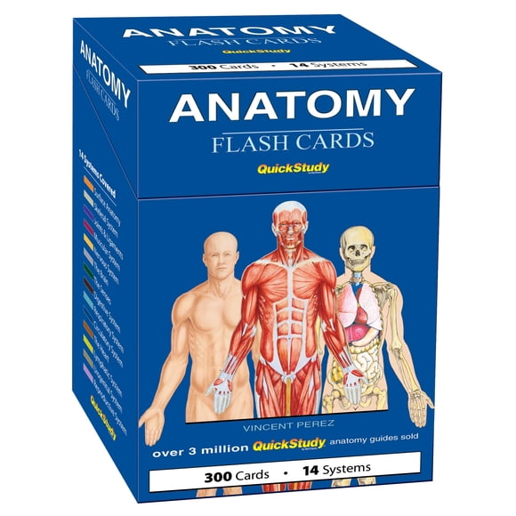 Tarjetas de estudio QuickStudy de Anatomía – 300 tarjetas, 14 sistemas