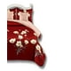 thumbnail image 3 of Set De Cama De 9 Piezas Incluye Cubrecama Mas Juego De Sabanas Mas Cortinas 07, 3 of 5
