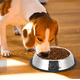 thumbnail image 3 of Comedero perro/gato 18cm, 3 of 3