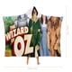 thumbnail image 2 of El Mago de Oz Manta Capa con Capucha Anti-Bolitas, Manta de Lana Ártica Suave, Manta Portátil de Felpa Ligera y Lujosa, Poncho para Siesta en Casa y Oficina, 100*130cm, 2 of 6