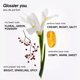 thumbnail image 3 of Perfume Glossier You Eau de Parfum 8 mL para hombre y mujer, 3 of 8
