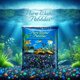 thumbnail image 4 of Grava de acuario, agua pura, piedras Lasernite Glo, 2,27 kg, 4 of 7