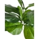 thumbnail image 3 of Rama Ficus Lyrata Con Uv 56cm Artificial, 3 of 3