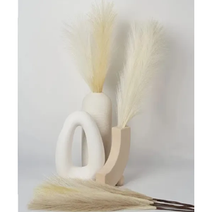 Genérico - Cola De Zorro Decoración Pampa Boda Hogar 110 Cm Boho