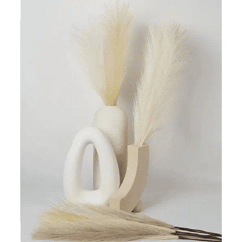 Genérico - Cola De Zorro Decoración Pampa Boda Hogar 110 Cm Boho