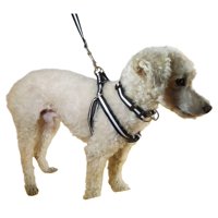 Defensor - Correa, Arnés Y Collar Para Perros De Razas Pequeñas