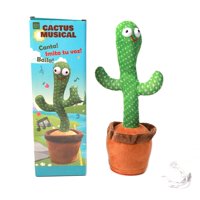 Homewell - Cactus Bailarin 34*9Cm