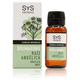 thumbnail image 1 of Brumaroma SYS Raíz Angelica 50 ml, 1 of 1