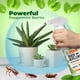 thumbnail image 5 of Spray repelente de cucarachas Mighty Mint, 2 x 475 ml, natural, 5 of 8