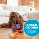 thumbnail image 5 of Juguete para perros Outward Hound Double Snoop Interactive Treats, 5 of 6