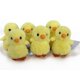 thumbnail image 1 of Set de 6 Pollitos de Peluche Auswella Minis de 13 cm, 1 of 1